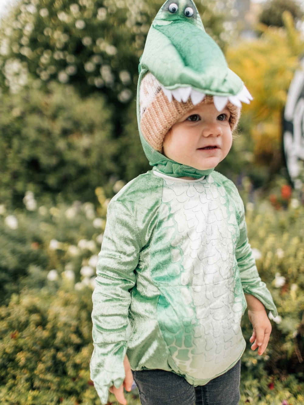 Disney REX Toy Story Costume Hoodie